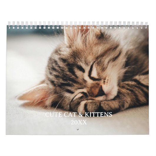 Süßes Kätzchen und Katzenfoto Kalender (Titelbild)