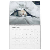 Süßes Kätzchen und Katzenfoto Kalender (Jan 2027)