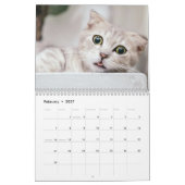 Süßes Kätzchen und Katzenfoto Kalender (Feb 2027)