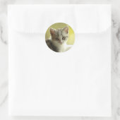Süßes Kätzchengesicht Runde Aufkleber (Tasche)