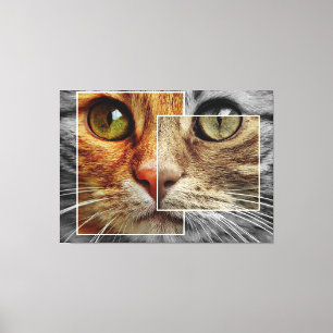 Süßes Katzen-Gesicht-Collage-Leinwanddruck Leinwanddruck