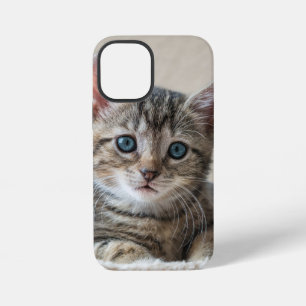 Süßes Katzen-Gesicht iPhone 12 Mini Hülle