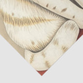 Süßes Katzen-Tissue-Papier Seidenpapier (Ausschnitt)