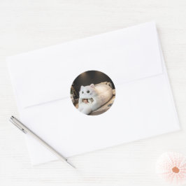 Süßes Katzenbett – Personalisiert Runder Aufkleber