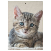 Süßes Katzengesicht Klemmbrett (Rückseite)