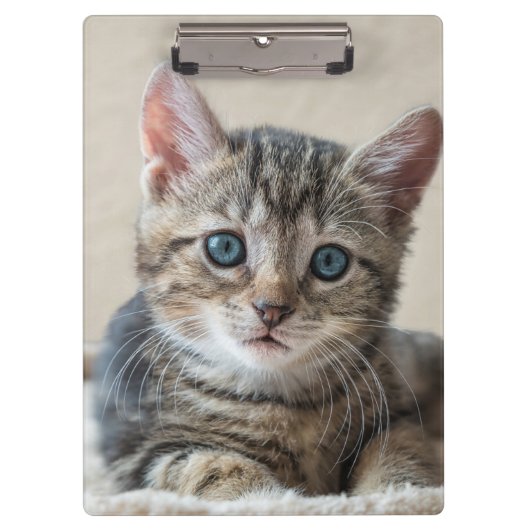 Süßes Katzengesicht Klemmbrett (Vorderseite)