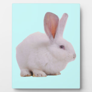 Süßes Kawaii-Kaninchen Fotoplatte