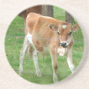 Süßes kleines Kalb Getränkeuntersetzer