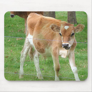 Süßes kleines Kalb Mousepad