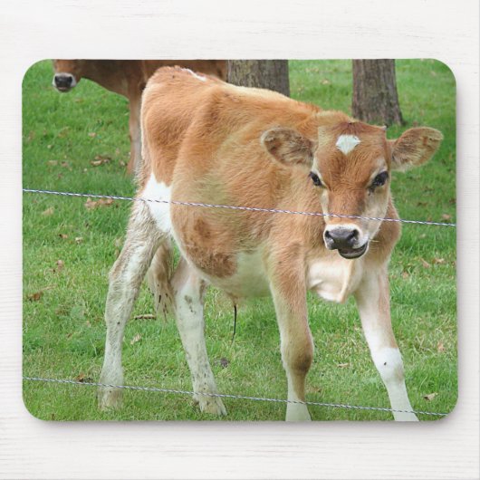 Süßes kleines Kalb Mousepad (Vorne)