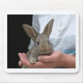 süßes kleines Kaninchen Mousepad (Vorne)