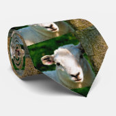 SÜSSES KLEINES SCHAF KRAWATTE (Gerollt)