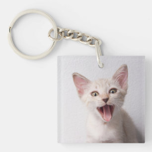 Süßes lustiges Katzenfoto Schlüsselanhänger
