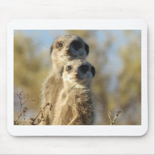 Süßes Meerkat Mousepad
