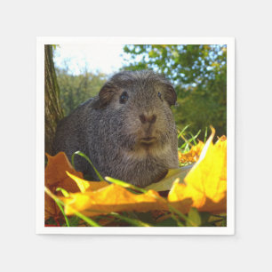 Süßes Meerschweinchen in der Natur Serviette