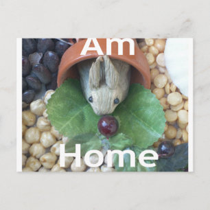 Süßes Miniatur-Kaninchen beim Snacken Postkarte