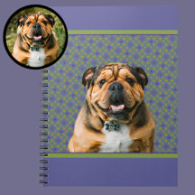 Süßes modernes lila Geschenk mit Foto für Hundemam