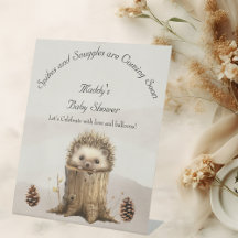 Süßes niedliches Baby-Igel-Baby-Shower