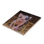 Süßes niedliches Schwein Fliese (Seite)