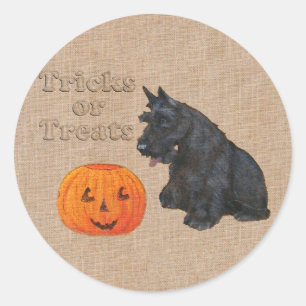 Süßes oder Saures Scottie Hund Runder Aufkleber
