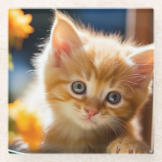 Süßes orangefarbenes Tabby-Kätzchen  Glasuntersetzer (Vorderseite)