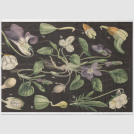 Süßes Pea-Dekoupage-Papier Seidenpapier