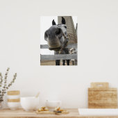 Süßes Pferd Nahaufnahme Poster (Küche)