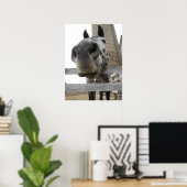 Süßes Pferd Nahaufnahme Poster (Heimbüro)