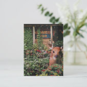 Süßes Reh im Garten Collage Postkarte (Stehend Vorderseite)