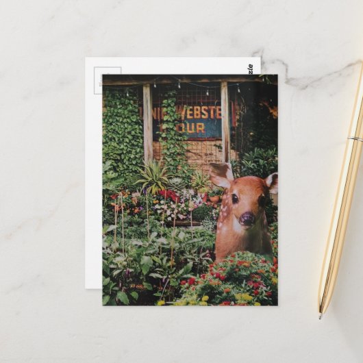 Süßes Reh im Garten Collage Postkarte (Vorderseite/Rückseite Beispiel)