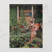 Süßes Reh im Garten Collage Postkarte (Vorderseite)