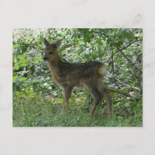 Süßes Reh im Wald DIY Postkarte