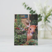 Süßes Rehkitz im Garten Collage Postkarte (Stehend Vorderseite)