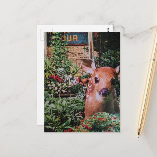 Süßes Rehkitz im Garten Collage Postkarte (Vorderseite/Rückseite Beispiel)