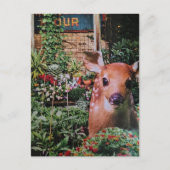Süßes Rehkitz im Garten Collage Postkarte (Vorderseite)