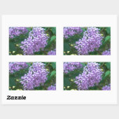 Süßes Riechende Lilacs Rechteckiger Aufkleber (Blatt)