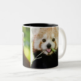 Süßes Rotpanda-Porträt Zweifarbige Tasse