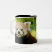 Süßes Rotpanda-Porträt Zweifarbige Tasse (Vorderseite Links)