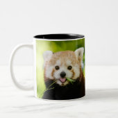 Süßes Rotpanda-Porträt Zweifarbige Tasse (Links)