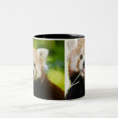 Süßes Rotpanda-Porträt Zweifarbige Tasse (Mittel)