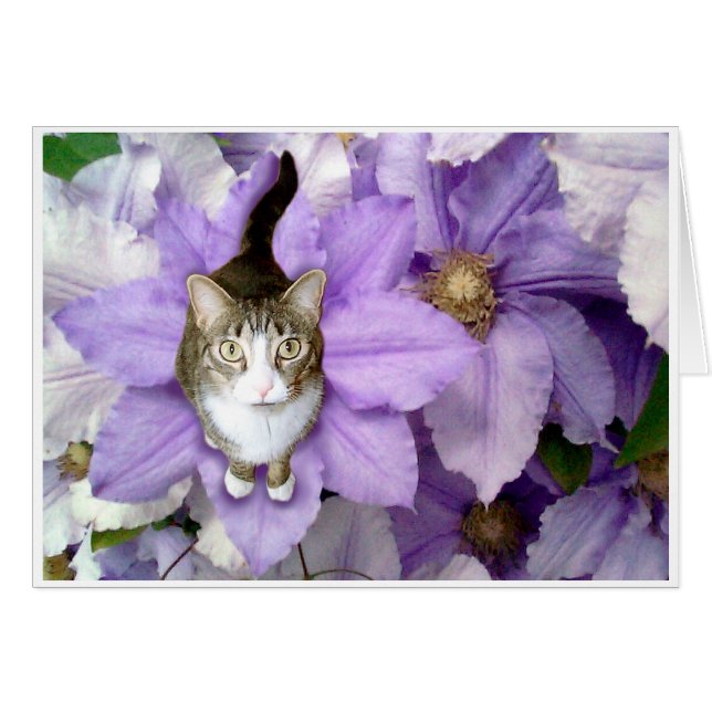 Süßes Sam (Vorderseite (Horizontal))