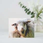 SÜßES SCHAF POSTKARTE (Stehend Vorderseite)