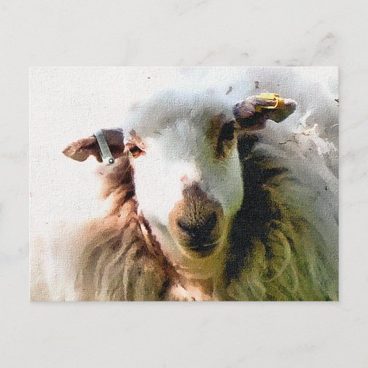 SÜßES SCHAF POSTKARTE (Vorderseite)