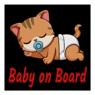 Süßes Schlafendes Kätzchen   Baby an Bord Auto Auf Poster