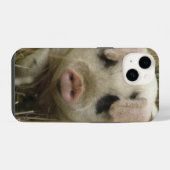 Süßes Schwein iPhone Hülle (Rückseite (Horizontal))