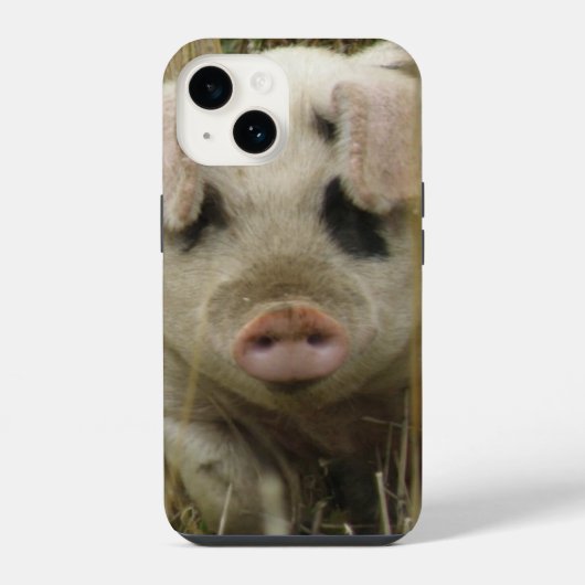 Süßes Schwein iPhone Hülle (Rückseite)