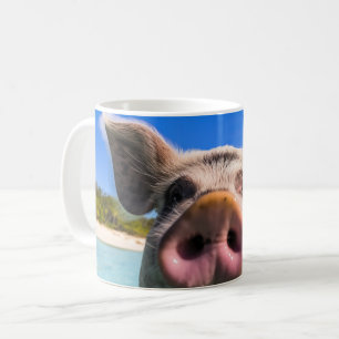 Süßes schwimmendes Schwein Exuma Bahamas Kaffeetasse