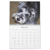süßes sHAMUS durch das dayZ Kalender (Mär 2027)
