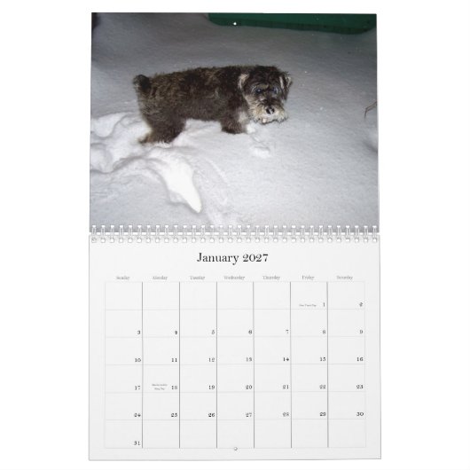 süßes sHAMUS durch das dayZ Kalender (Jan 2027)
