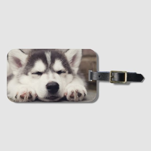 Süßes Sibirisches Husky Welpenschläfchen Gepäckanhänger (Vorderseite (Horizontal))